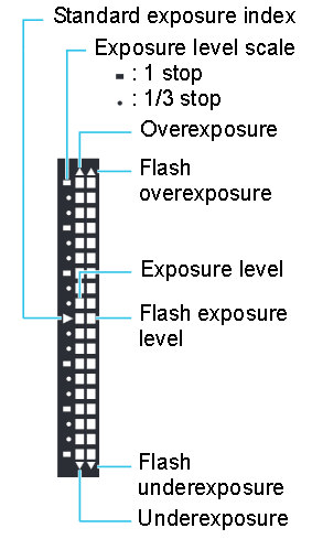 Exposure indicator